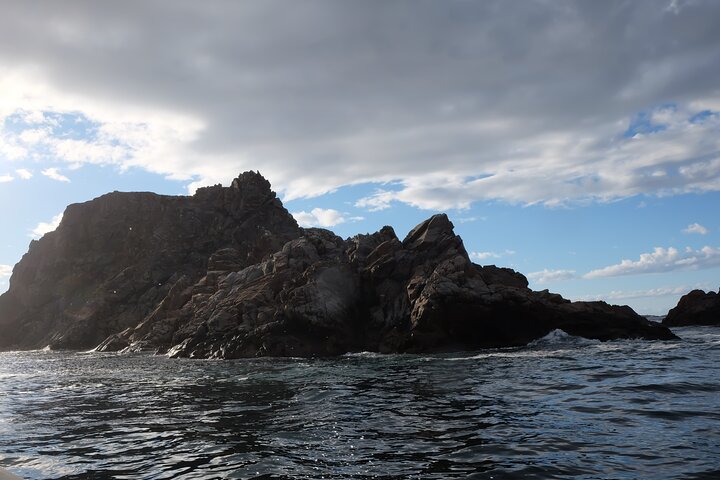 2 Hour Boat Tour in Twillingate