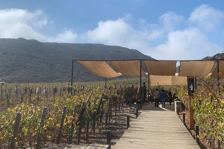 Tour la buffadora/pai pai park/four fours vineyard