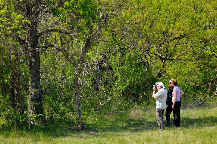 GROUP Guided Day Trip to the Danube Delta, Tulcea - Letea