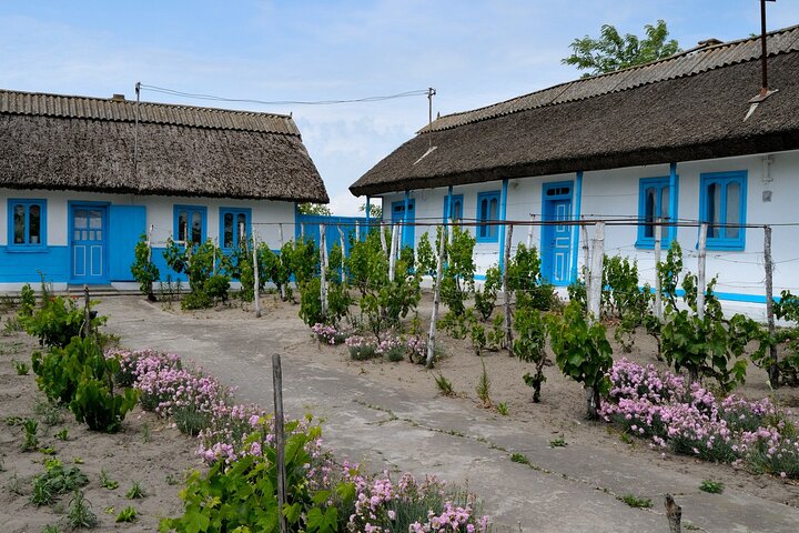 GROUP Guided Day Trip to the Danube Delta, Tulcea - Letea