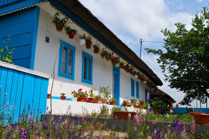 GROUP Guided Day Trip to the Danube Delta, Tulcea - Letea