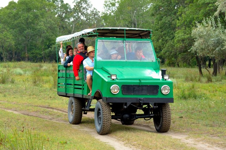 GROUP Guided Day Trip to the Danube Delta, Tulcea - Letea