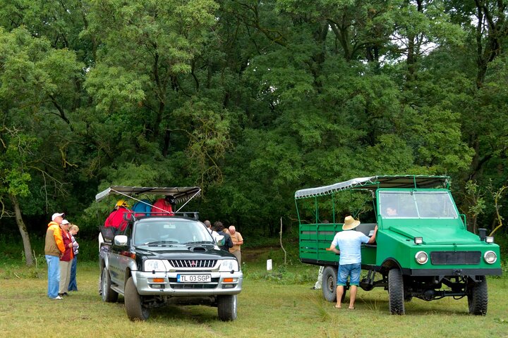 GROUP Guided Day Trip to the Danube Delta, Tulcea - Letea
