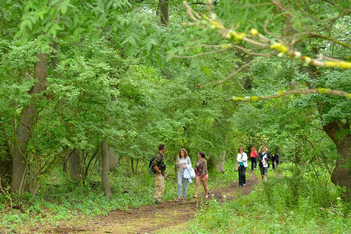 GROUP Guided Day Trip to the Danube Delta, Tulcea - Letea