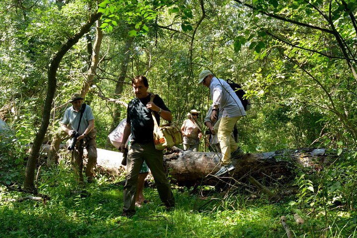 GROUP Guided Day Trip to the Danube Delta, Tulcea - Letea