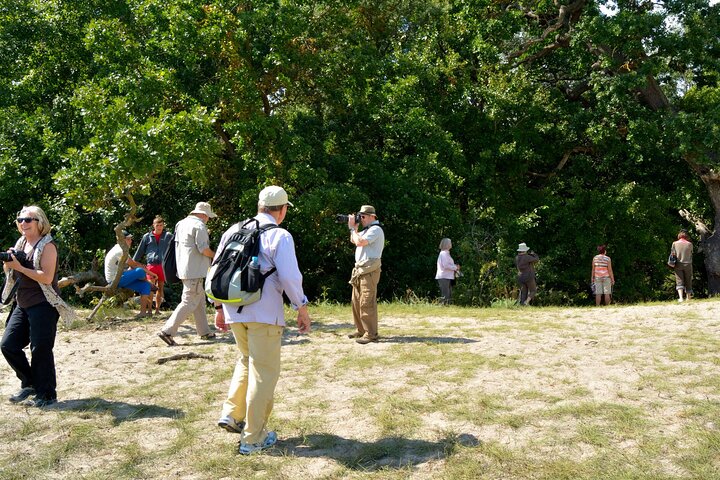 GROUP Guided Day Trip to the Danube Delta, Tulcea - Letea