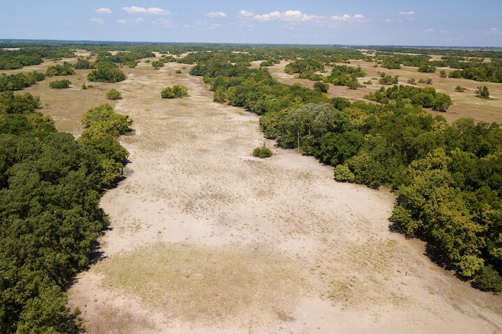 GROUP Guided Day Trip to the Danube Delta, Tulcea - Letea