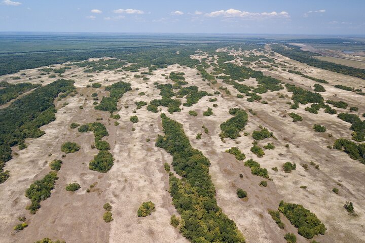 GROUP Guided Day Trip to the Danube Delta, Tulcea - Letea