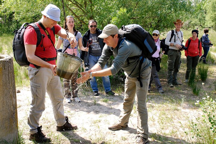 GROUP Guided Day Trip to the Danube Delta, Tulcea - Letea