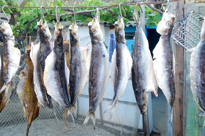 GROUP Guided Day Trip to the Danube Delta, Tulcea - Letea