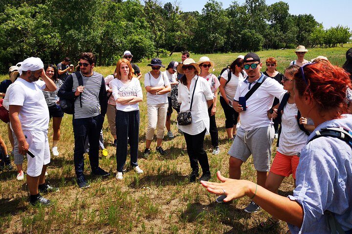GROUP Guided Day Trip to the Danube Delta, Tulcea - Letea