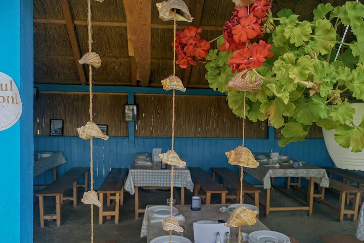 GROUP Guided Day Trip to the Danube Delta, Tulcea - Letea