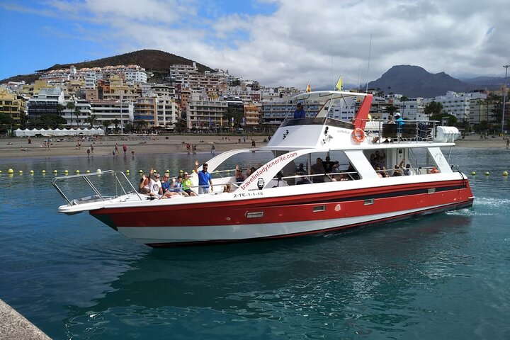 Tenerife Ecoyacht Tour for Whale Watching
