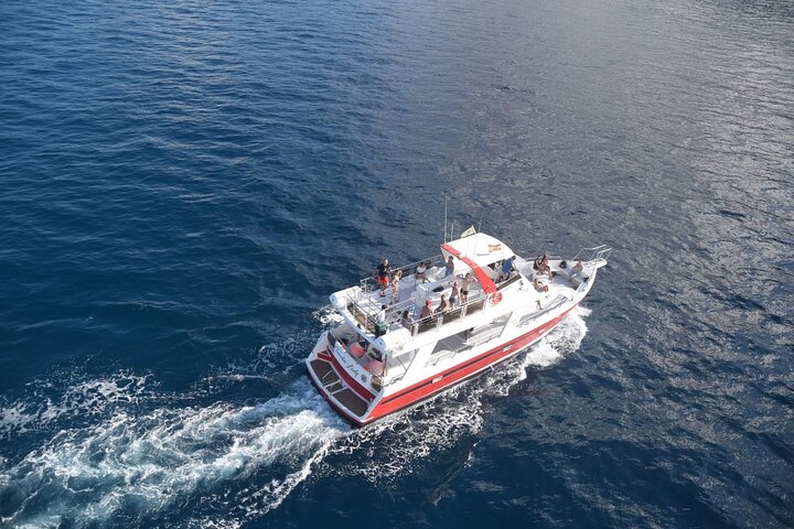 Tenerife Ecoyacht Tour for Whale Watching