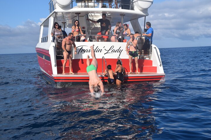 Tenerife Ecoyacht Tour for Whale Watching