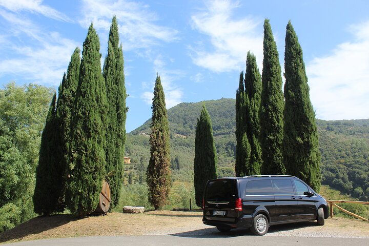 Tuscan Wine Tour in Lucca by van