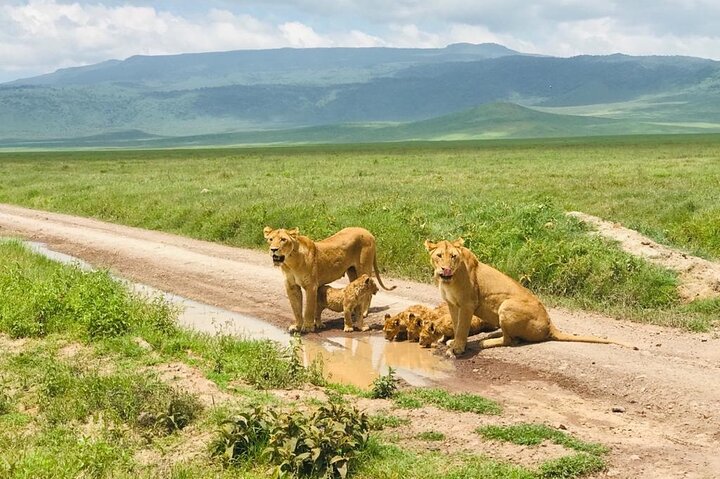 The best Selous 1 day safari from Zanzibar