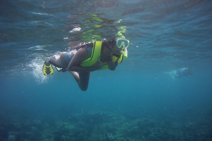 Rincon Snorkeling Adventure