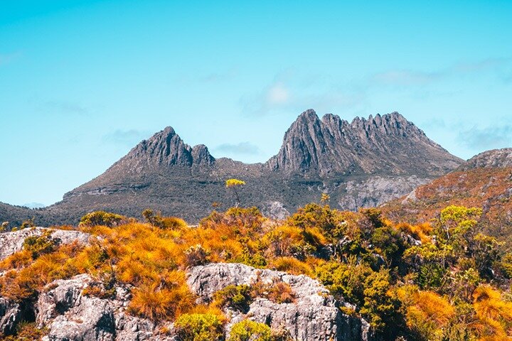 Cradle Mountain National Park Day Tour from Launceston
