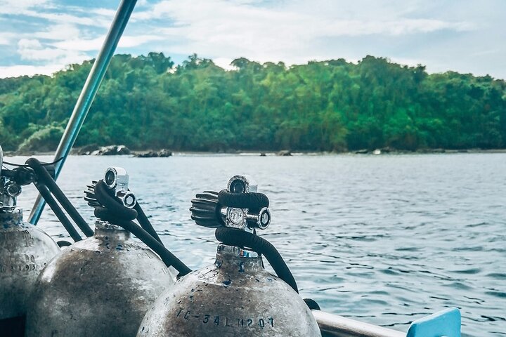 Diving tour in Isla del Caño for certified divers