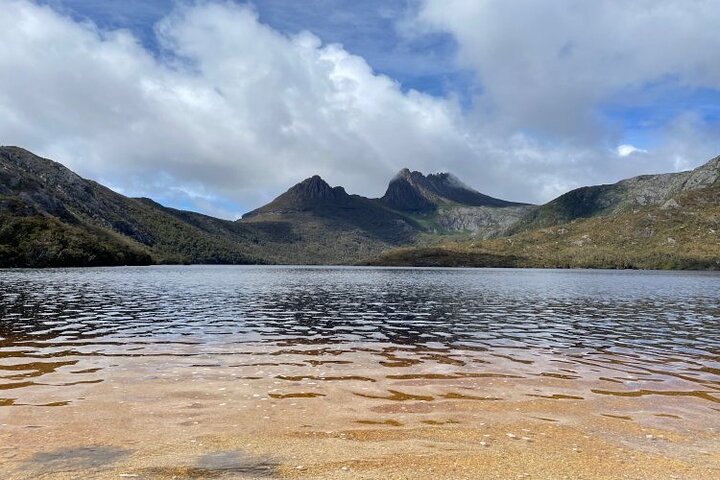 Cradle Mountain National Park Day Tour from Launceston