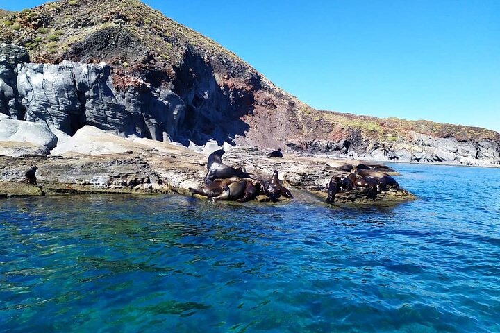Best Tour to Coronados Island