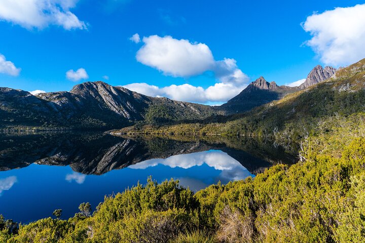 Cradle Mountain National Park Day Tour from Launceston