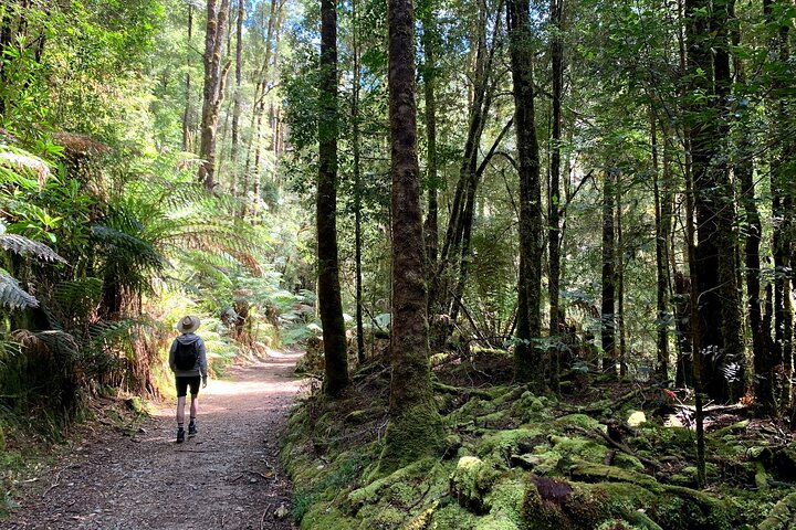 5-Day Best of Tasmania Tour from Hobart