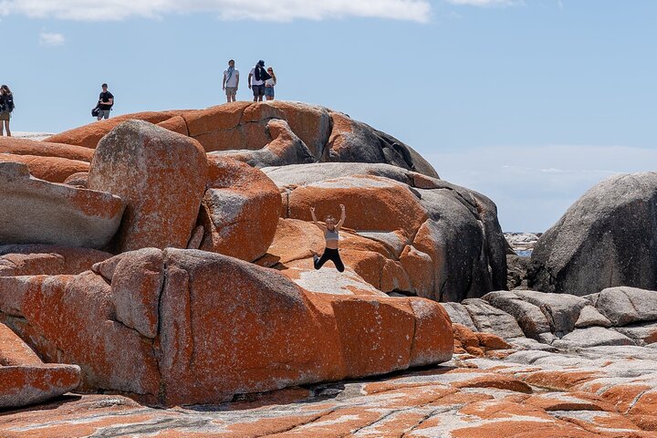 5-Day Best of Tasmania Tour from Hobart