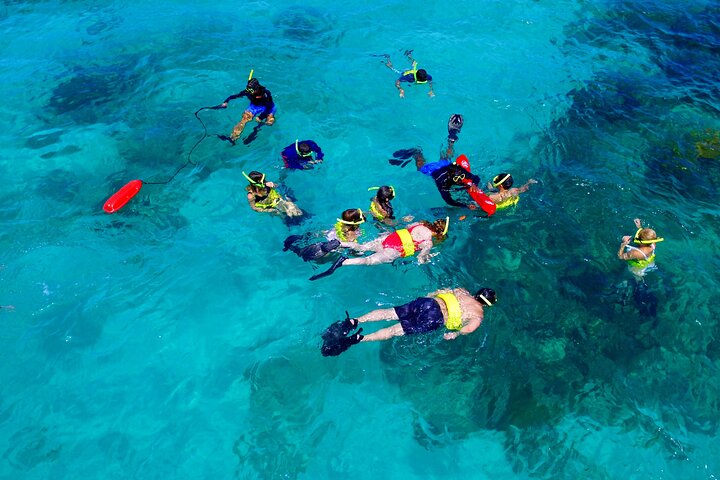 All Inclusive Snorkel and Slide Boat Tour: Icacos or Vieques