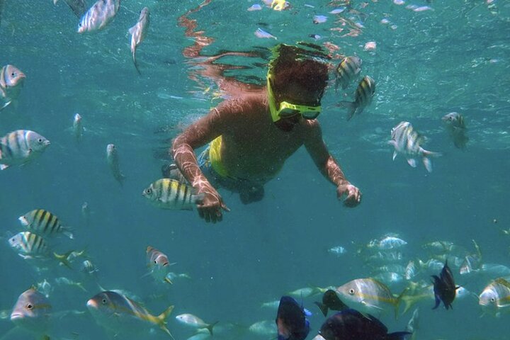All Inclusive Snorkel and Slide Boat Tour: Icacos or Vieques