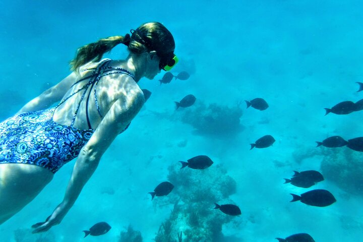 All Inclusive Snorkel and Slide Boat Tour: Icacos or Vieques