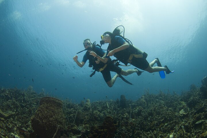 Diving in Rosario Islands Cartagena