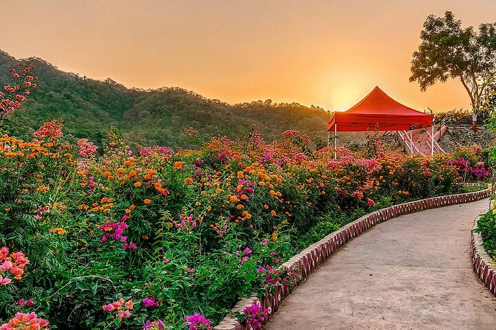 Glimpse Of Gujarat Tour