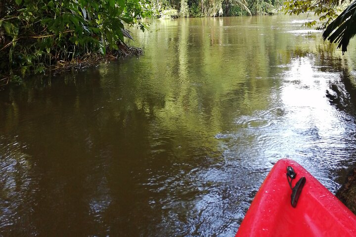 Tortuguero National Park Canal Tour with Canoe