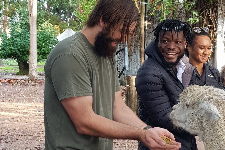 Hidden Gems of Margaret River: Wine, Italian Lunch & Emu Feeding