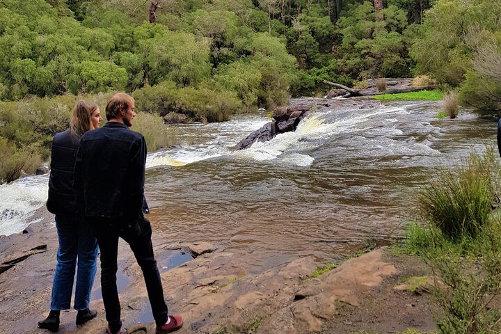 Hidden Gems of Margaret River: Wine, Italian Lunch & Emu Feeding