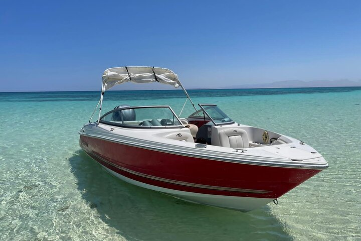 PRIVATE! | 4-hour Speed Boat Trip | Swim With Dolphins, Snorkeling & Island