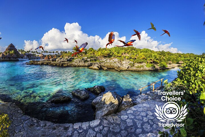 Xcaret Park Day Trip, transportation and Cultural Night Show