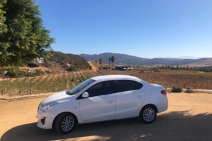 Tour la buffadora/pai pai park/four fours vineyard