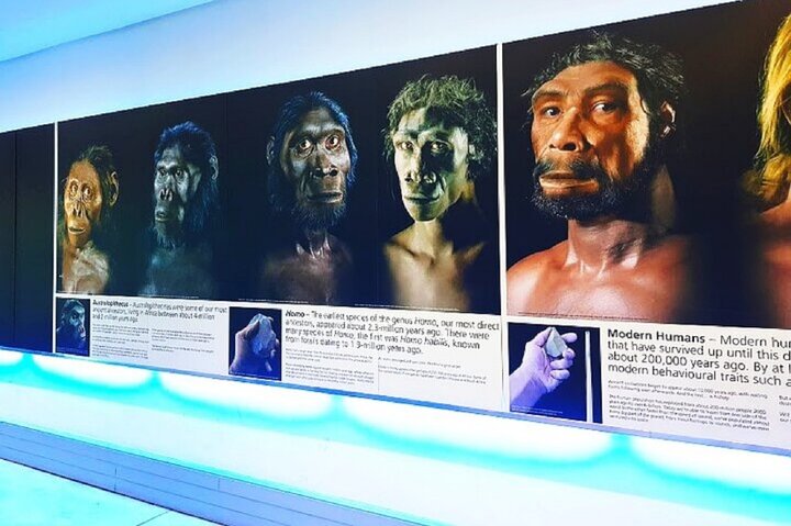 Cradle of humankind & Maropeng/sterkfontein caves tour