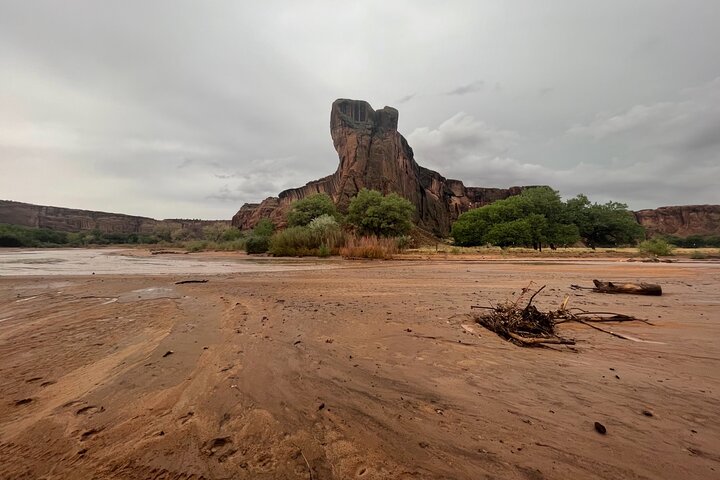 3-hour Private Tour