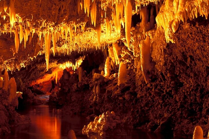 Full-Day Natural Heritage Tour in Barbados with Lunch