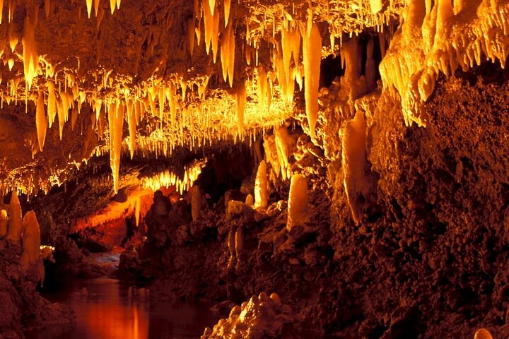 Harrison's Cave Tour in Barbados
