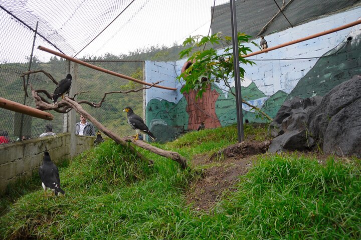Yasuni Tours - 4 Days 3 Nights - From Puyo, Pastaza - Ecuador