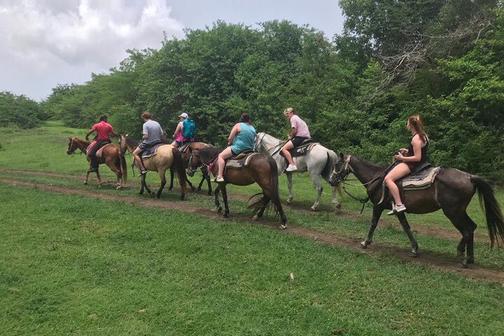Horseback Riding Experience