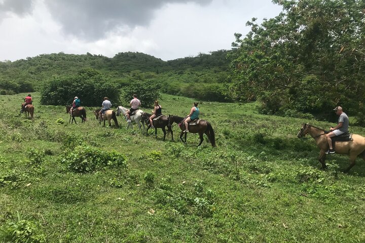 Horseback Riding Experience