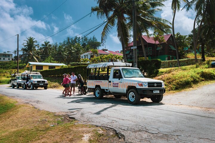 Discovery Safari
