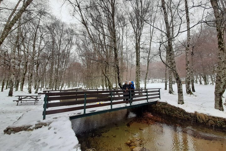 Private tour of Serra da Estrela, departing from Covilhã.