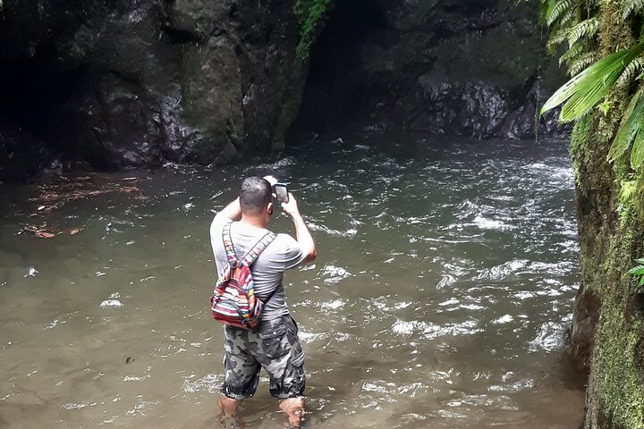 Mindo Cloud Forest: Hummingbirds, Birding & Waterfall Tour
